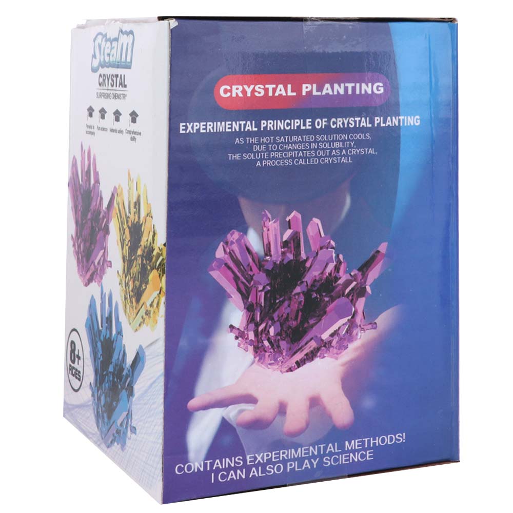 Grow a Crystal Crystal Growing - Science Project Diy recensie en prijs